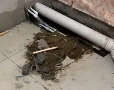 山南卫生间漏水检测哪家好